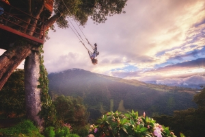 baños panoramic swing