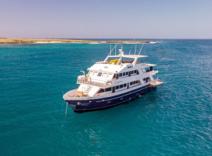 Columbus Ecuador is a Quito-based destination management company (DMC) specializing in tailor-made tours across Ecuador, the Galápagos Islands, and Peru. They design customized travel experiences that combine Galápagos cruises, nature and eco-tours, and cultural journeys, offering different service levels (luxury, first class, mid-range, and budget). Tailor-made travel / customized tours / Galápagos cruises / Eco-tours / nature experiences / Cultural trips to Peru (Machu Picchu, Sacred Valley) / Local destination experts / Personalized service and full travel support / Wide range of accommodation options / Columbus Travel