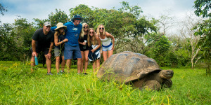 The Ultimate Galapagos Travel Guide: Costs, Tips, and Best Times to Visit - Columbus Ecuador is a Quito-based destination management company (DMC) specializing in tailor-made tours across Ecuador, the Galápagos Islands, and Peru. They design customized travel experiences that combine Galápagos cruises, nature and eco-tours, and cultural journeys, offering different service levels (luxury, first class, mid-range, and budget). Tailor-made travel / customized tours / Galápagos cruises / Eco-tours / nature experiences / Cultural trips to Peru (Machu Picchu, Sacred Valley) / Local destination experts / Personalized service and full travel support / Wide range of accommodation options / Columbus Travel