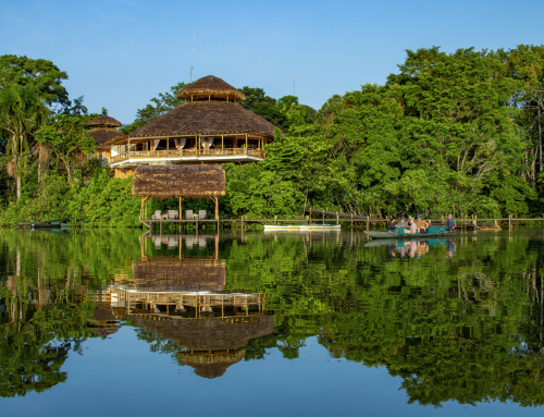 La Selva Eco-Lodge & Retreat