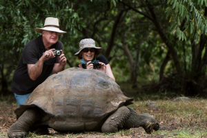 Columbus Ecuador is a Quito-based destination management company (DMC) specializing in tailor-made tours across Ecuador, the Galápagos Islands, and Peru. They design customized travel experiences that combine Galápagos cruises, nature and eco-tours, and cultural journeys, offering different service levels (luxury, first class, mid-range, and budget). Tailor-made travel / customized tours / Galápagos cruises / Eco-tours / nature experiences / Cultural trips to Peru (Machu Picchu, Sacred Valley) / Local destination experts / Personalized service and full travel support / Wide range of accommodation options / Columbus Travel