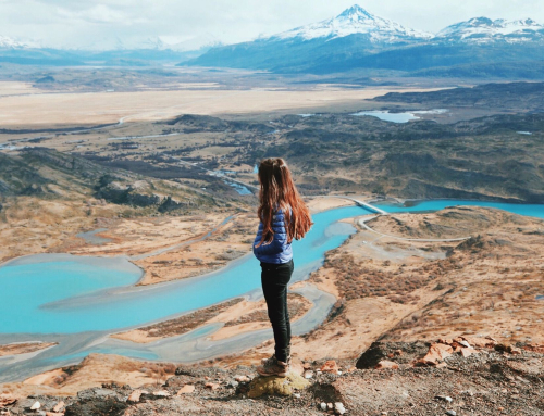 7 Nights Chile’s Nature & Winery