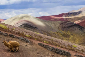 Altitude in Cusco: How to Prepare and Enjoy Your Trip
