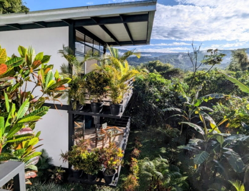 2-Day Mindo Cloud Forest Escape at Las Terrazas de Dana