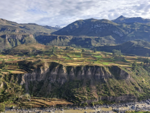 Colca Canyon - Top Things to Do in Arequipa: Peru’s White City - Columbus Travel