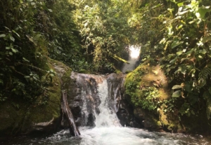 The Ultimate Northern Ecuador Trilogy: Mindo, Otavalo, and Papallacta in 4 Days