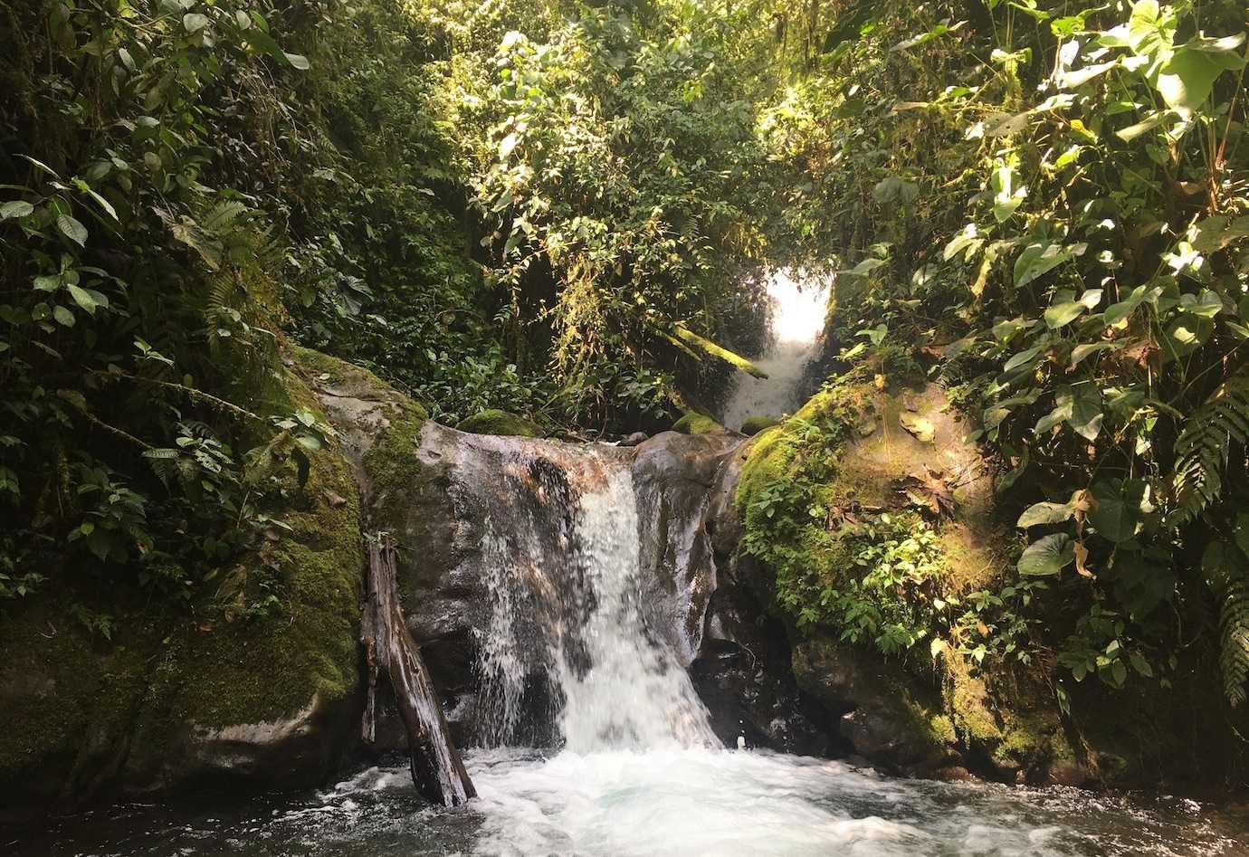 The Ultimate Northern Ecuador Trilogy: Mindo, Otavalo, and Papallacta in 4 Days