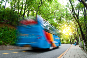 Way through the forest tourist on sunny road with blurred bus