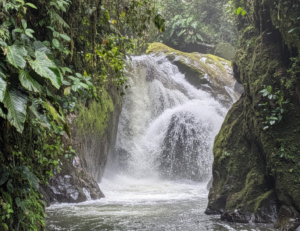 waterfall How to Travel from Quito to Mindo: The Complete Cloud Forest Journey