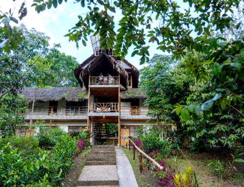 Suchipakari Eco-Lodge